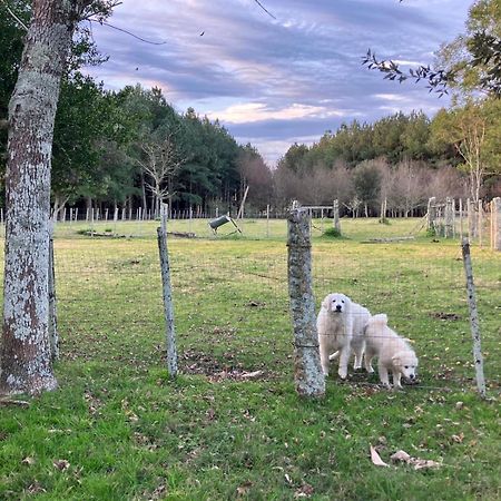 Pinos De La Quebrada Quebrada de los Cuervos Exterior foto