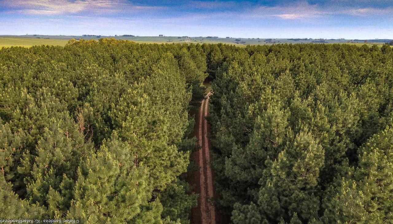 Pinos De La Quebrada Quebrada de los Cuervos Exterior foto