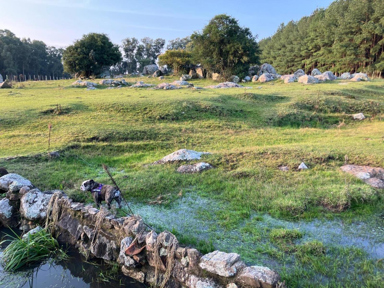 Pinos De La Quebrada Quebrada de los Cuervos Exterior foto