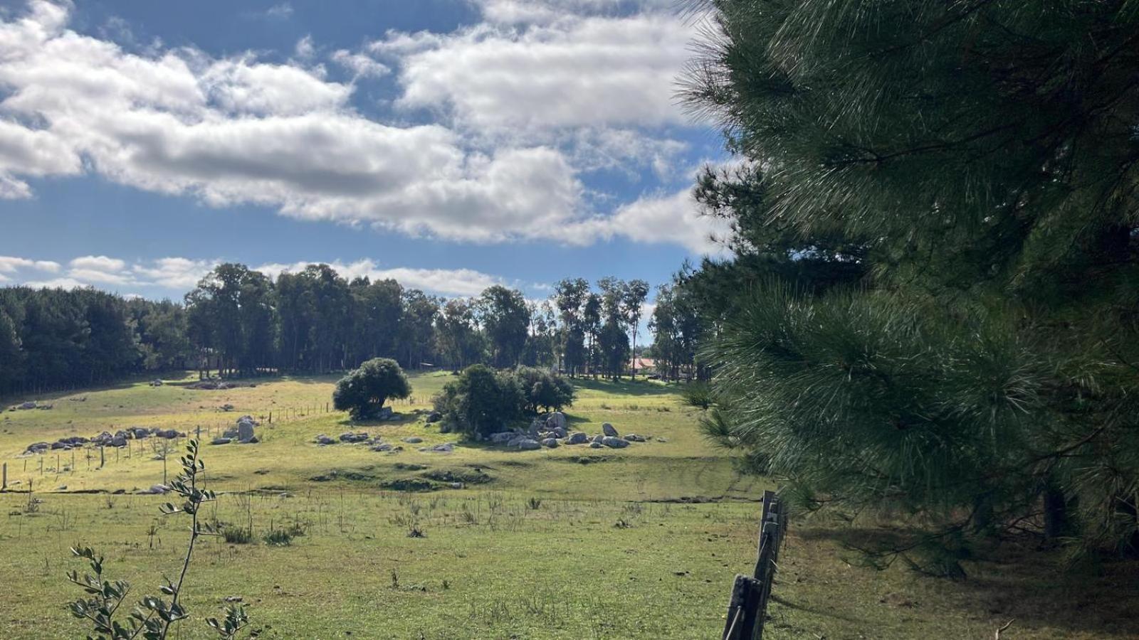 Pinos De La Quebrada Quebrada de los Cuervos Exterior foto