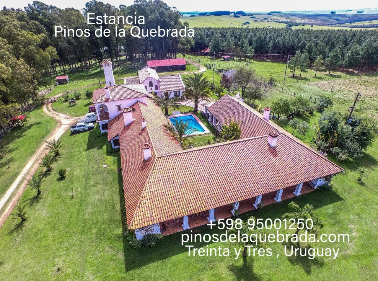 Pinos De La Quebrada Quebrada de los Cuervos Exterior foto
